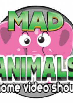 mad-animals mad-animals