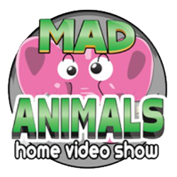 mad-animals